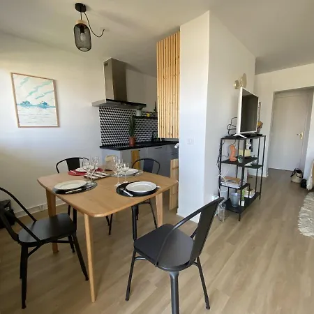Appartement T3 Avec Terrasse, Parking Et Wifi à - Fr-1-374-163 *
